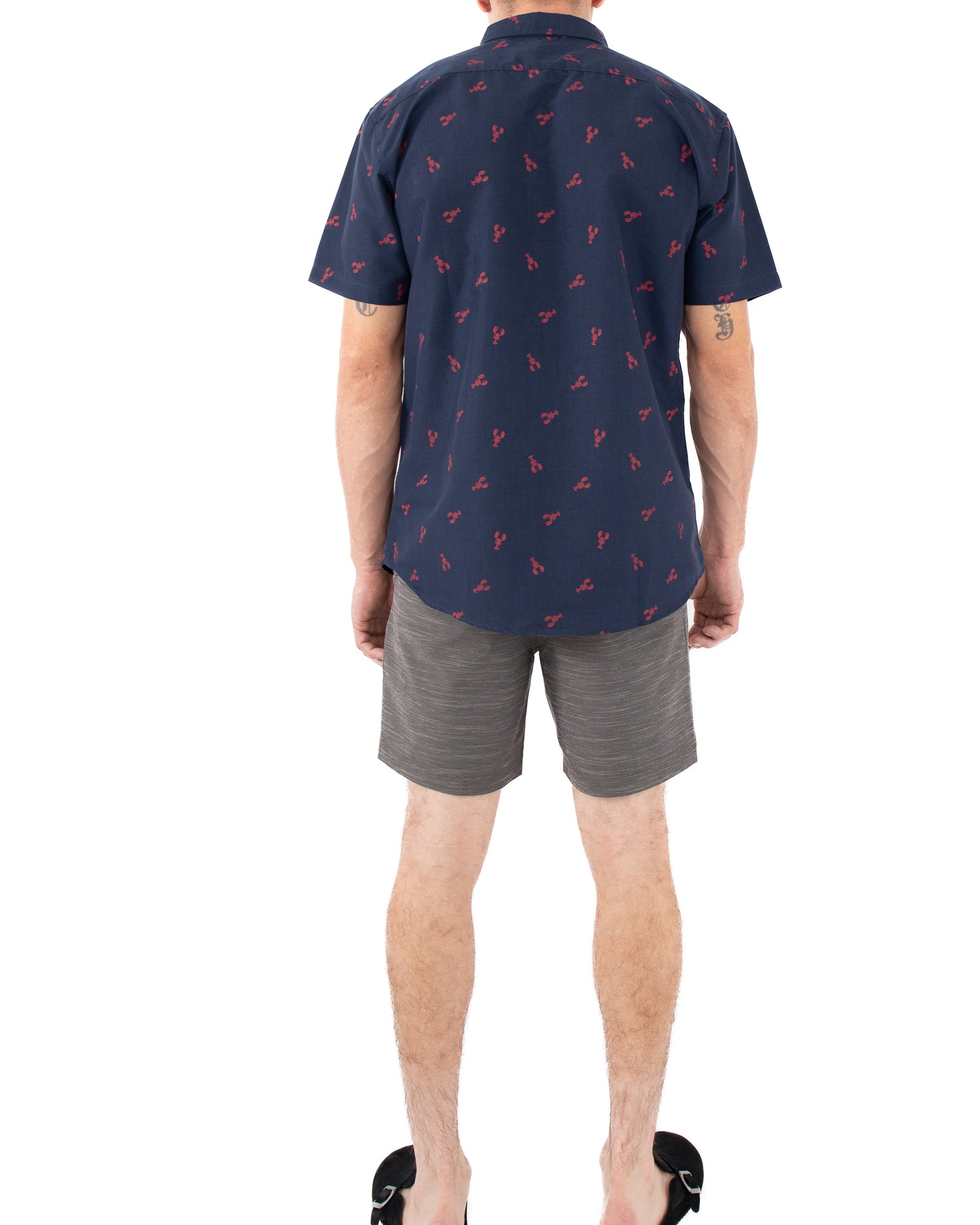 Mens Button Down Shirts Lobster - visive